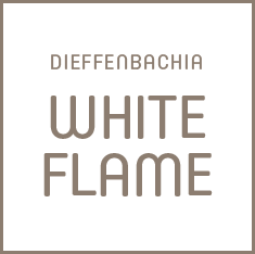 White Flame